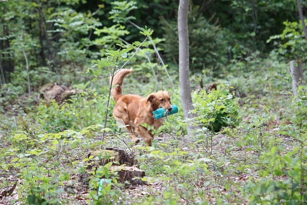 Img 1242905704 102 lg opt