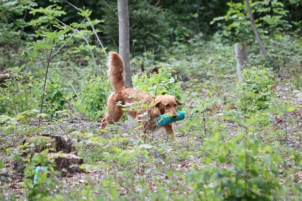 Img 1242905751 146 lg opt