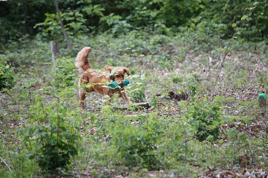 Img 1242905844 779 lg opt