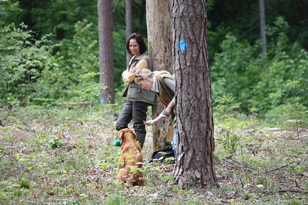 Img 1242905890 470 lg opt