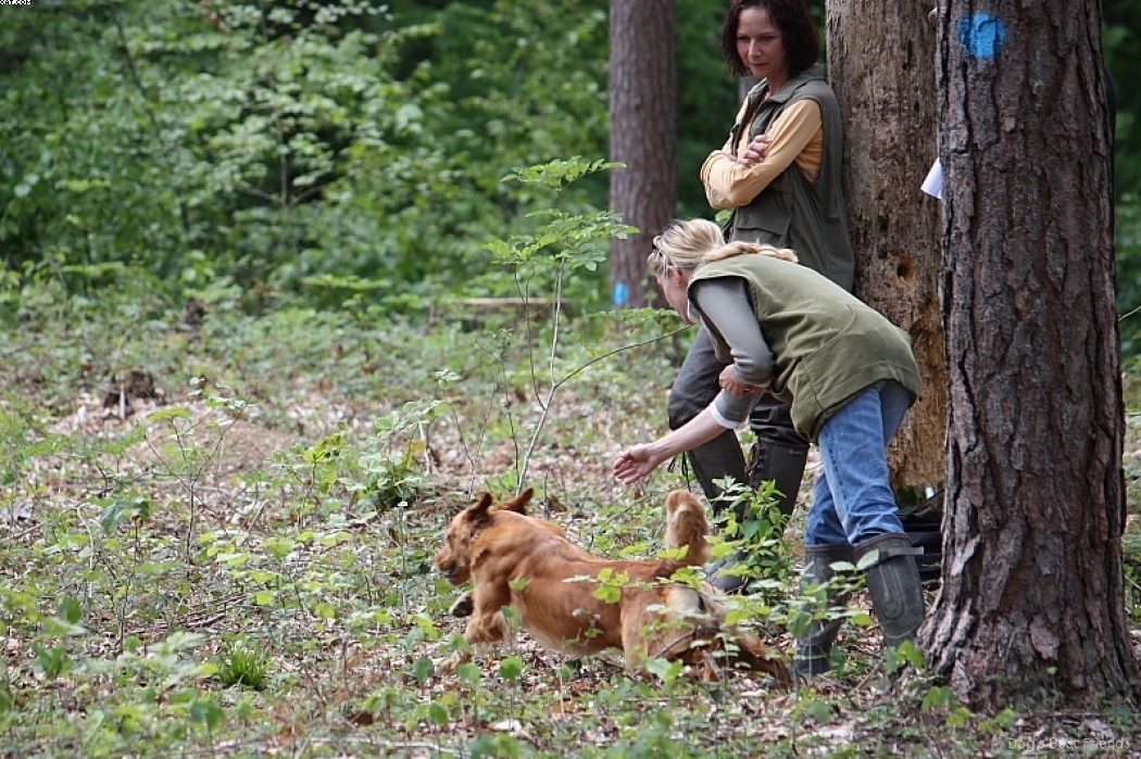 Img 1242905937 559 lg opt