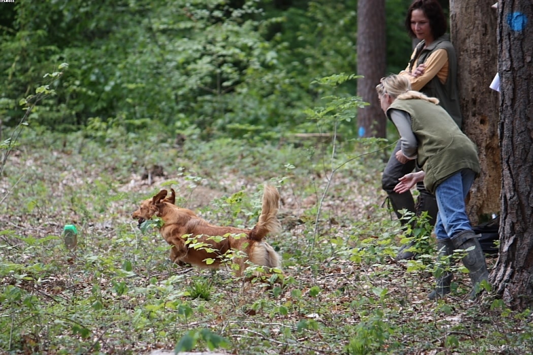 Img 1242905980 215 lg opt