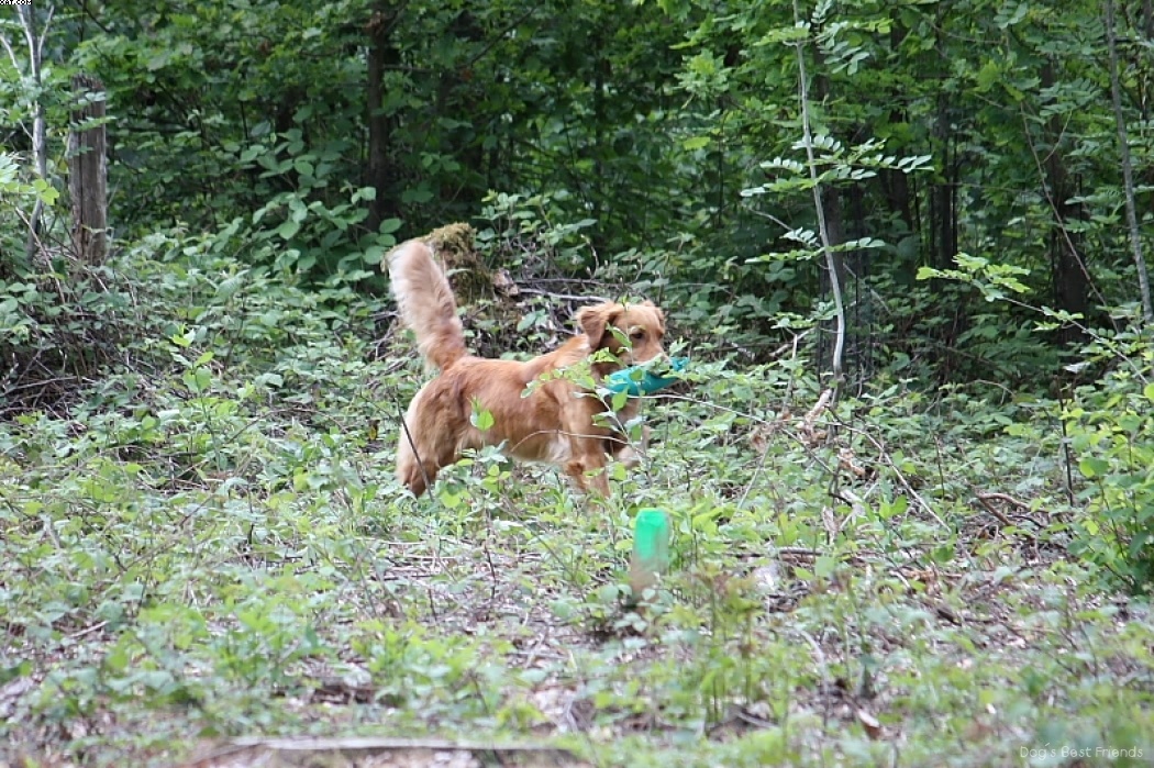 Img 1242906068 45 lg opt