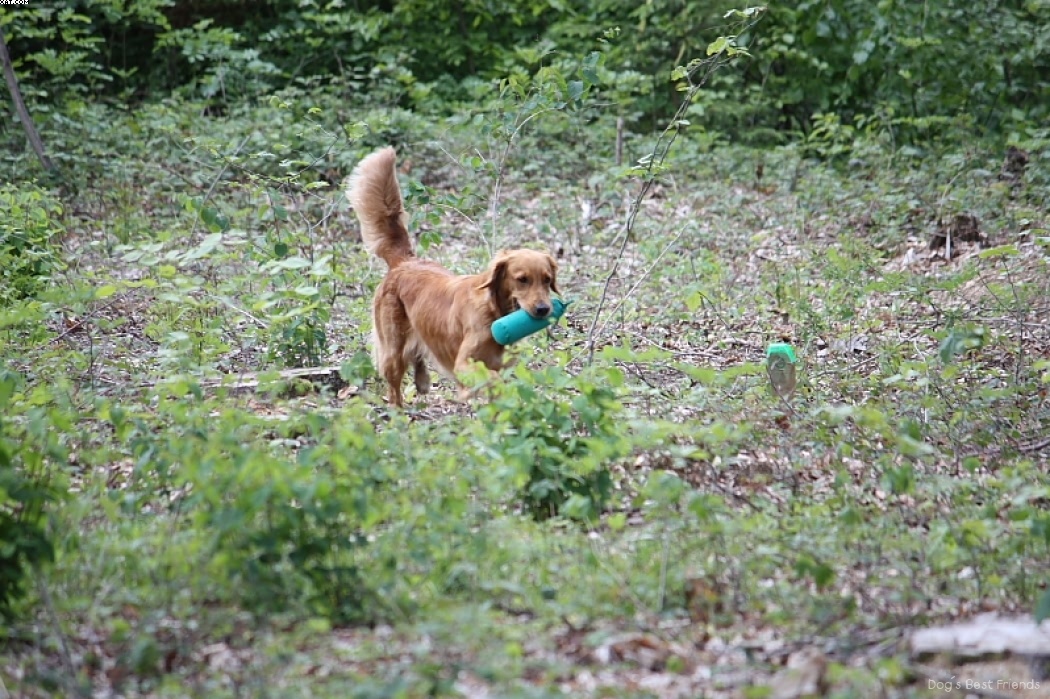 Img 1242906148 889 lg opt