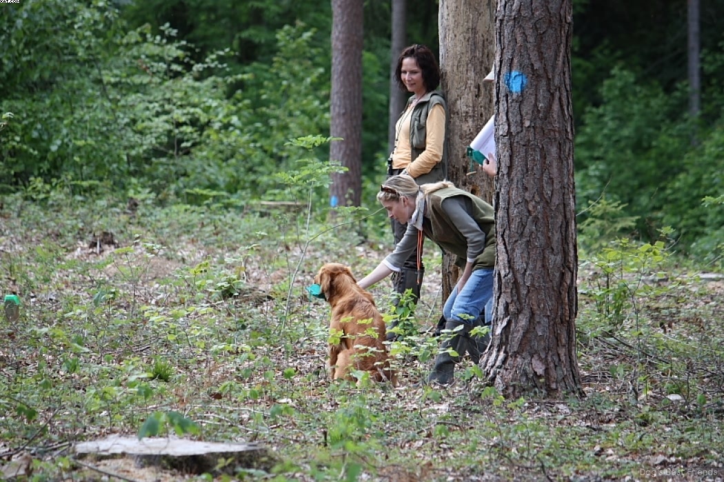 Img 1242906273 160 lg opt