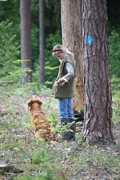 Img 1242906315 921 lg opt