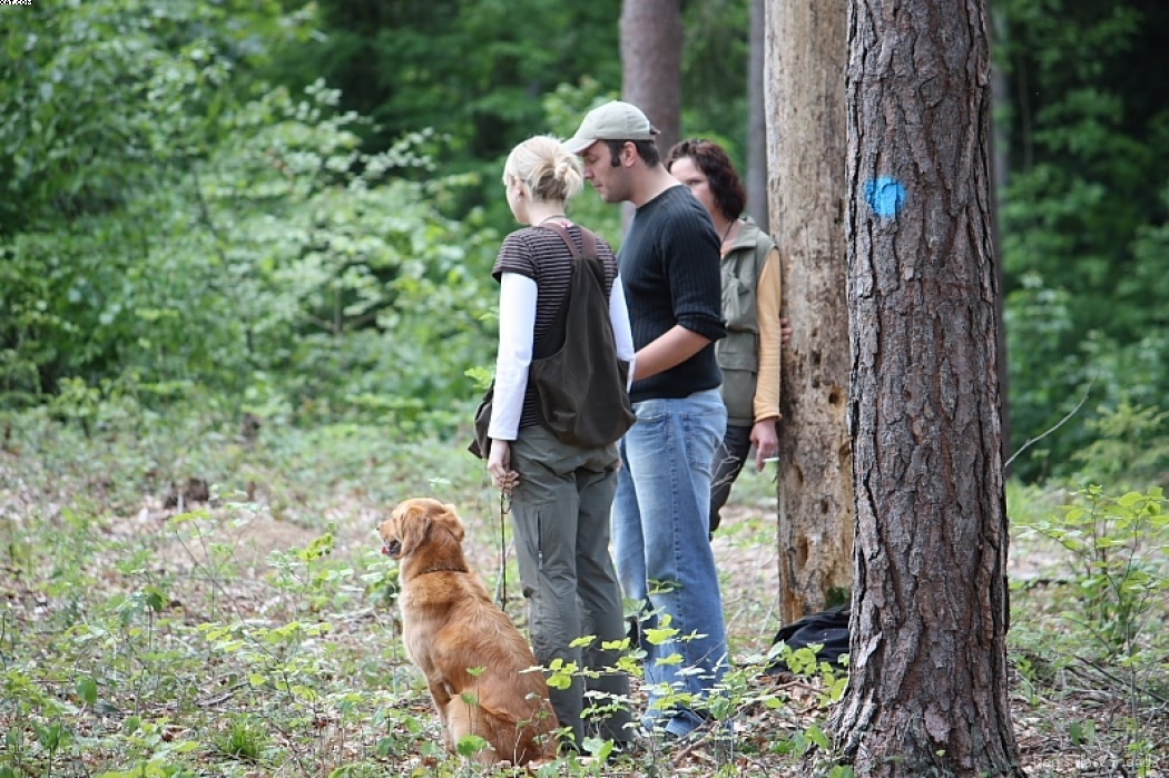 Img 1242906357 916 lg opt