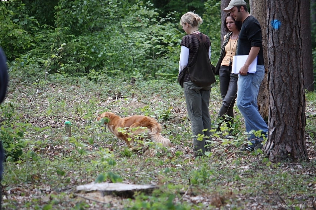 Img 1242906403 472 lg opt