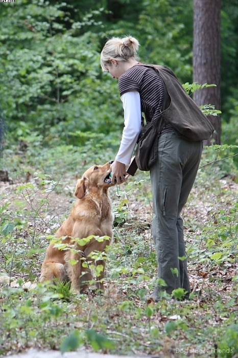 Img 1242906529 520 lg opt