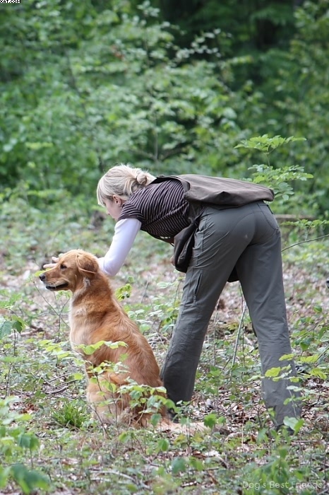 Img 1242906566 787 lg opt