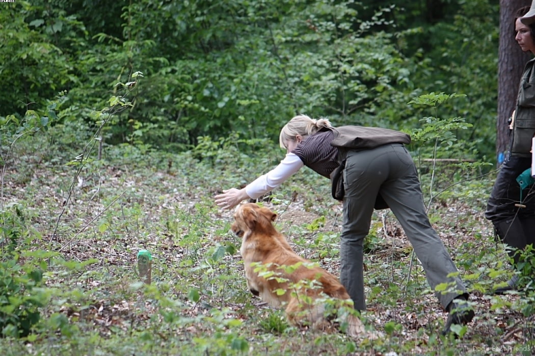 Img 1242906611 826 lg opt