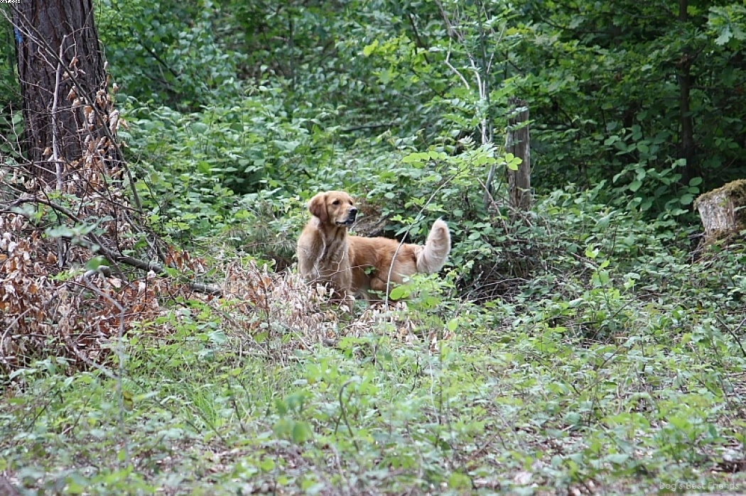 Img 1242906659 602 lg opt