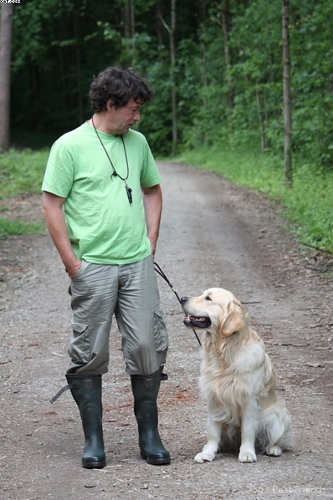 Img 1242906804 967 lg opt