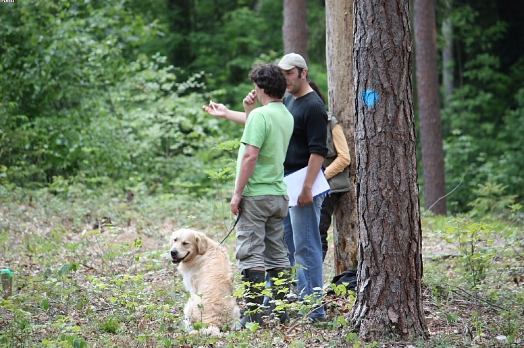 Img 1242906843 656 lg opt