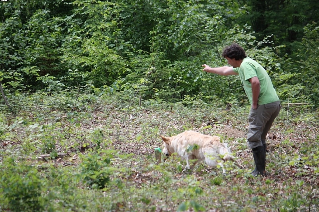 Img 1242906888 167 lg opt