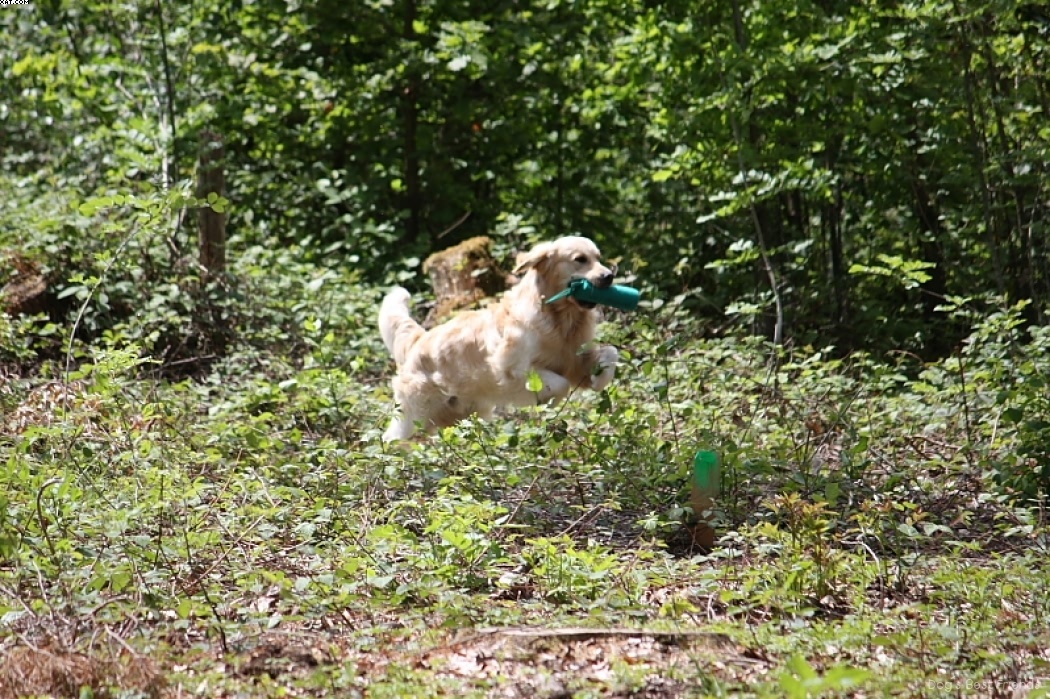 Img 1242906935 979 lg opt