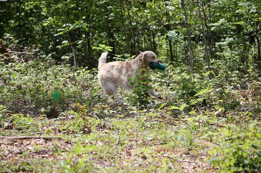 Img 1242906986 469 lg opt