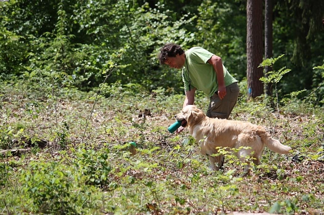 Img 1242907117 912 lg opt