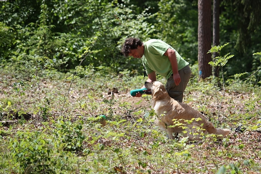 Img 1242907163 947 lg opt