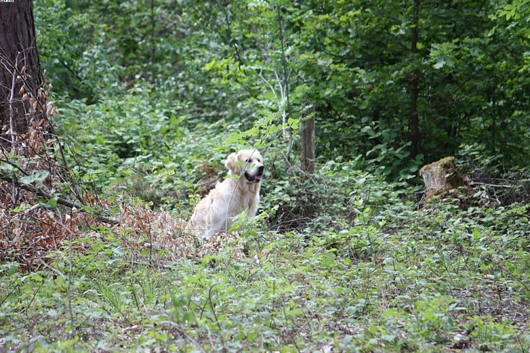 Img 1242907256 587 lg opt