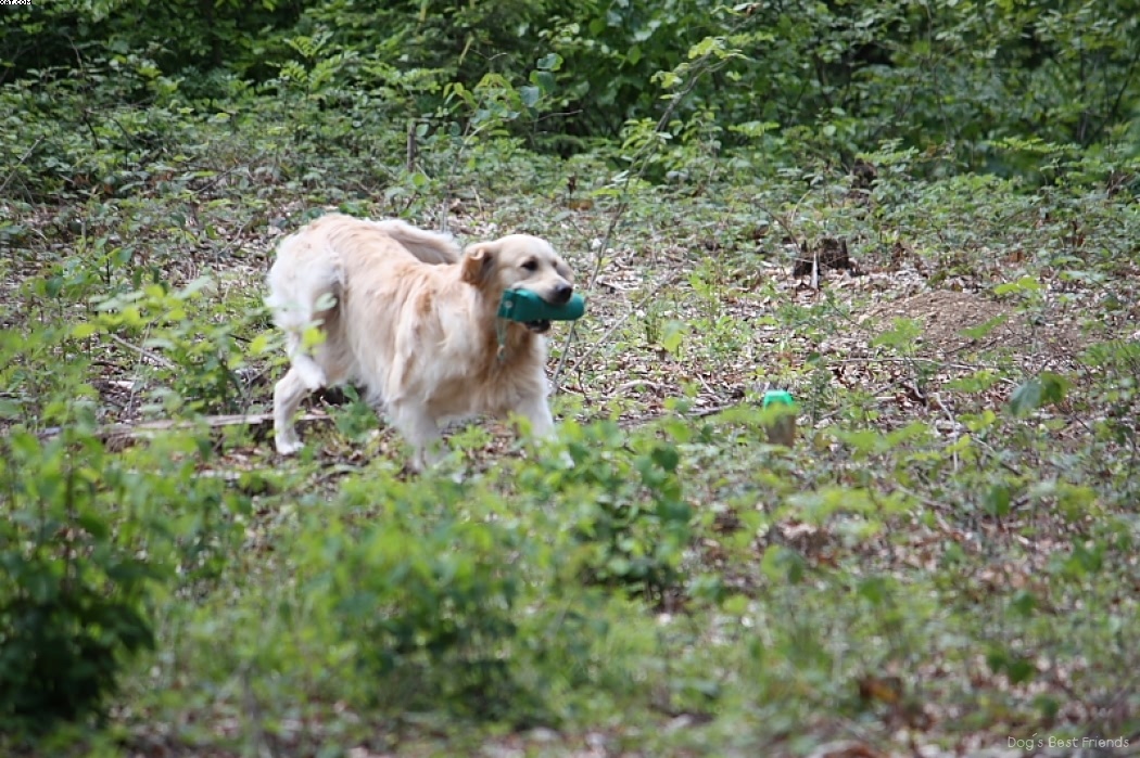 Img 1242907378 854 lg opt