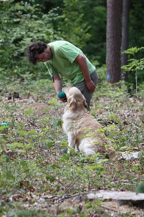 Img 1242907417 598 lg opt