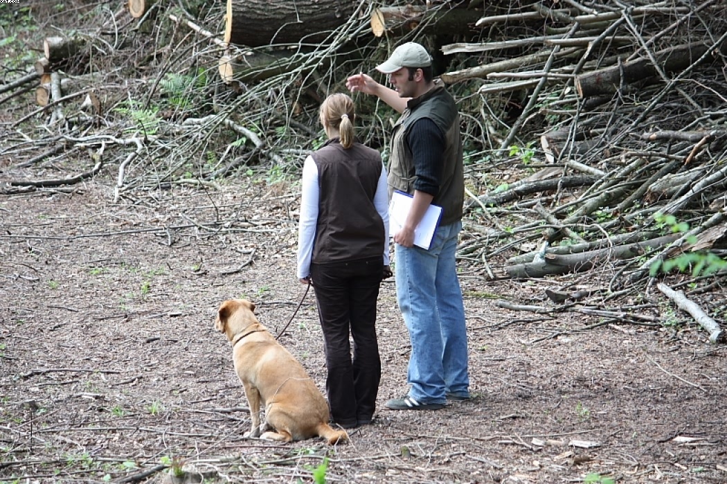 Img 1242907467 909 lg opt