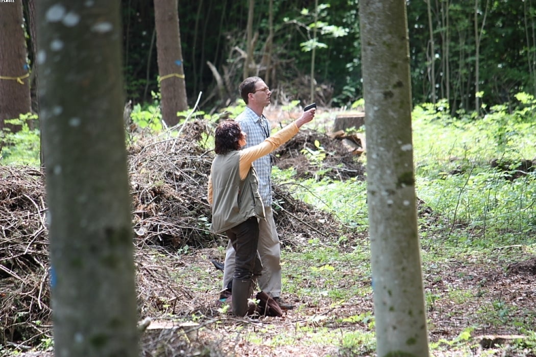 Img 1242907510 388 lg opt