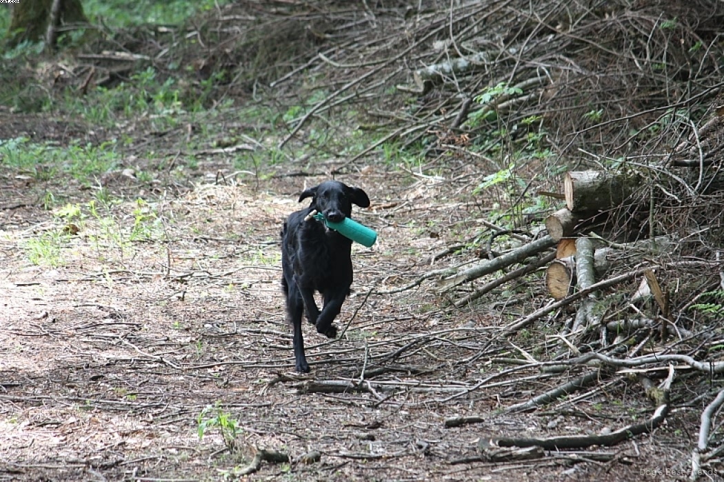 Img 1242907608 428 lg opt