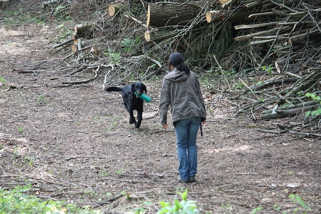 Img 1242907656 972 lg opt