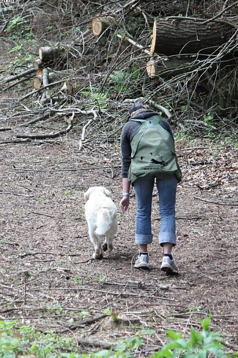 Img 1242907757 531 lg opt