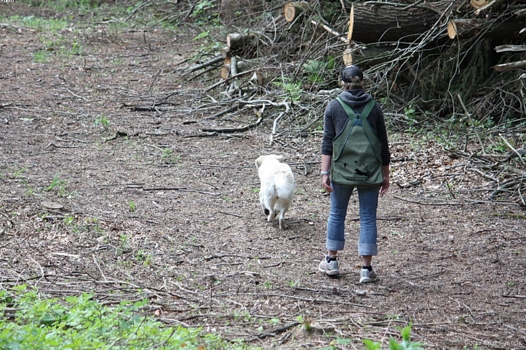 Img 1242907808 642 lg opt