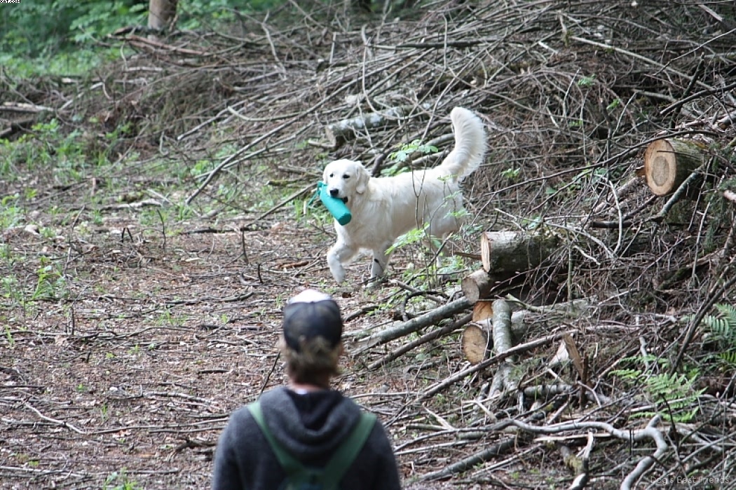 Img 1242907856 175 lg opt