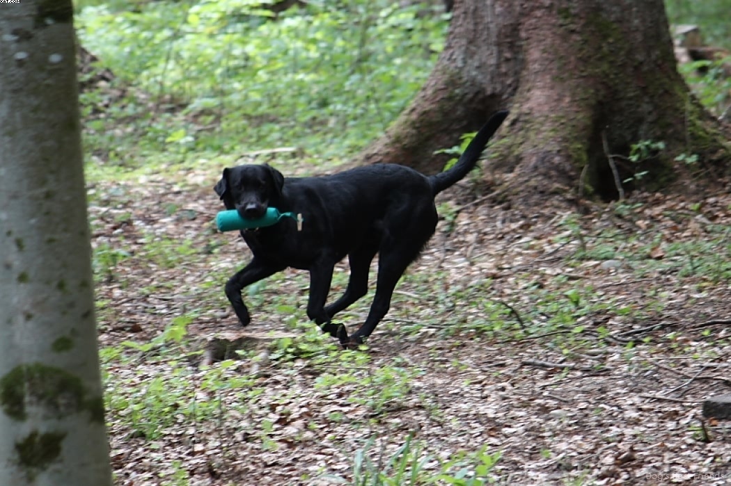 Img 1242908029 122 lg opt