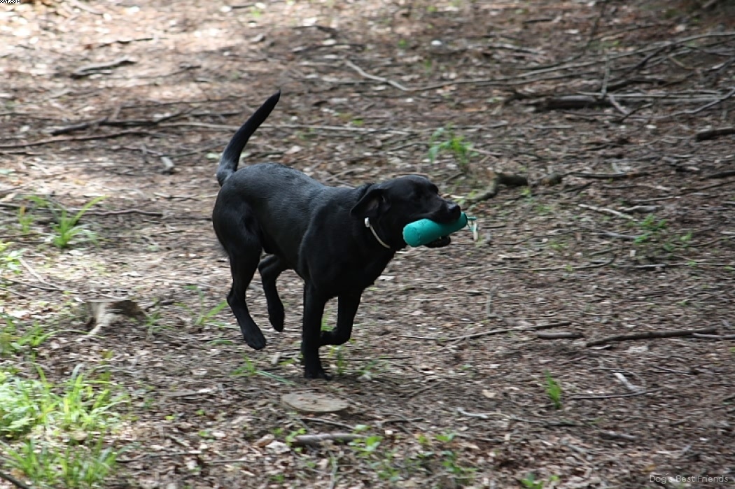 Img 1242908067 733 lg opt