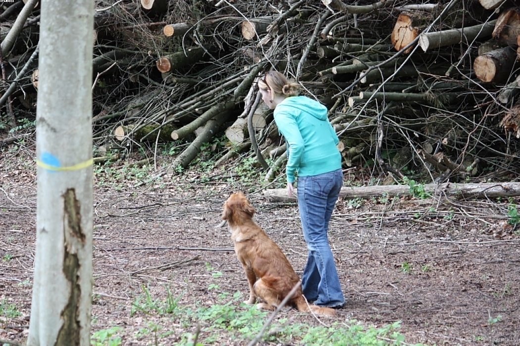 Img 1242908116 915 lg opt