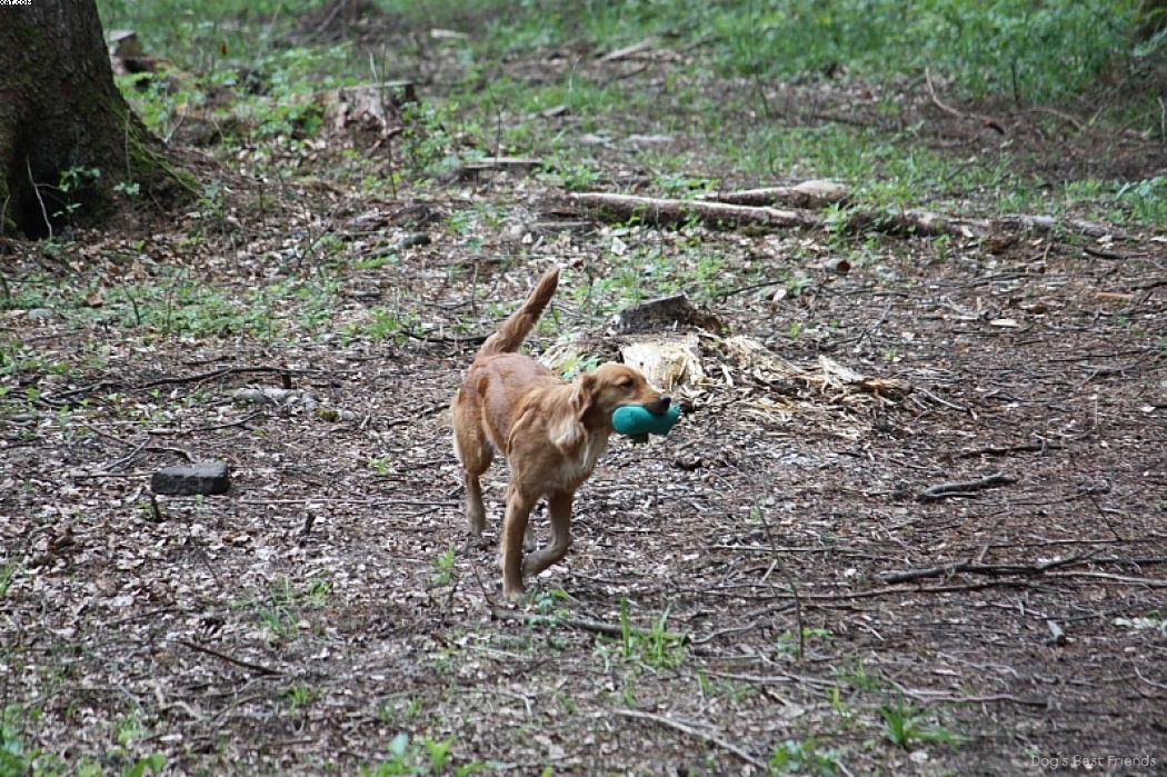 Img 1242908208 484 lg opt