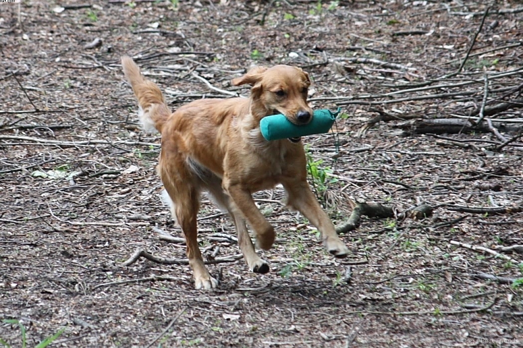 Img 1242908253 705 lg opt