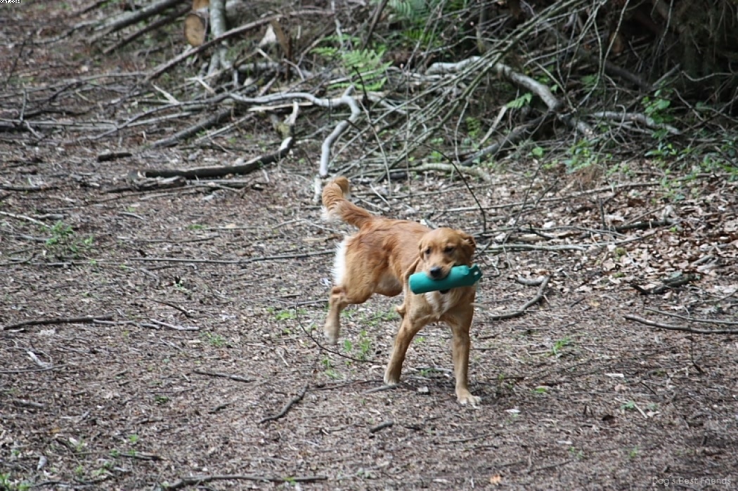 Img 1242908308 378 lg opt