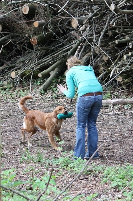 Img 1242908360 560 lg opt