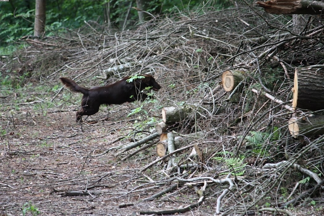 Img 1242908457 750 lg opt