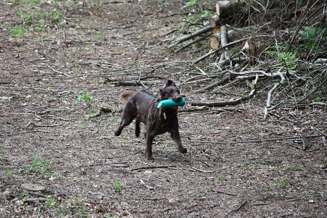 Img 1242908612 282 lg opt