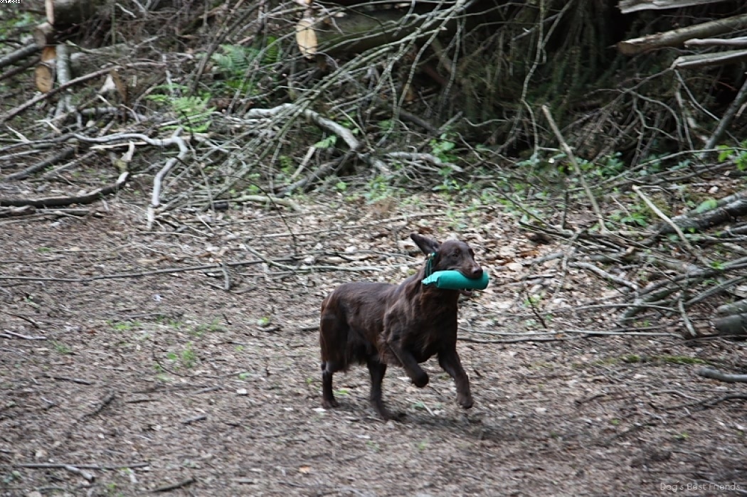 Img 1242908653 50 lg opt