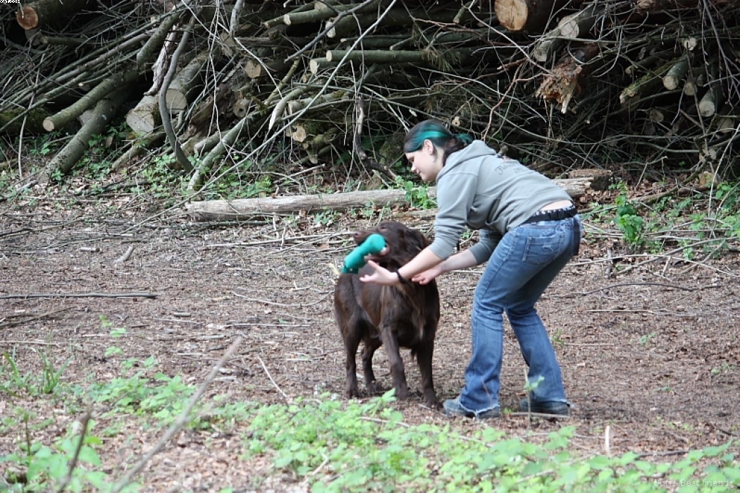 Img 1242908709 812 lg opt