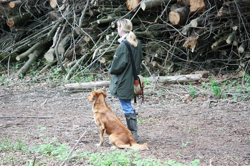 Img 1242908762 824 lg opt