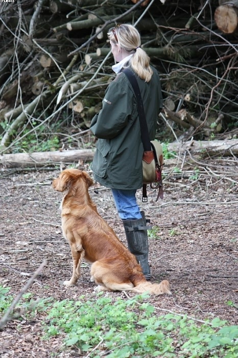 Img 1242908804 212 lg opt