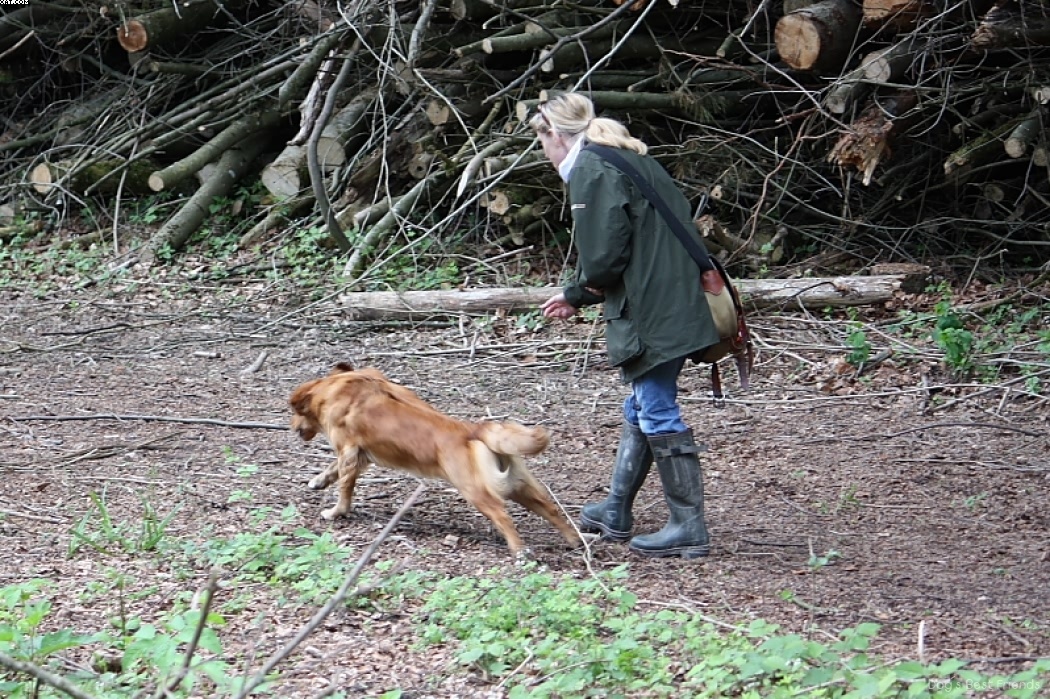 Img 1242908858 395 lg opt