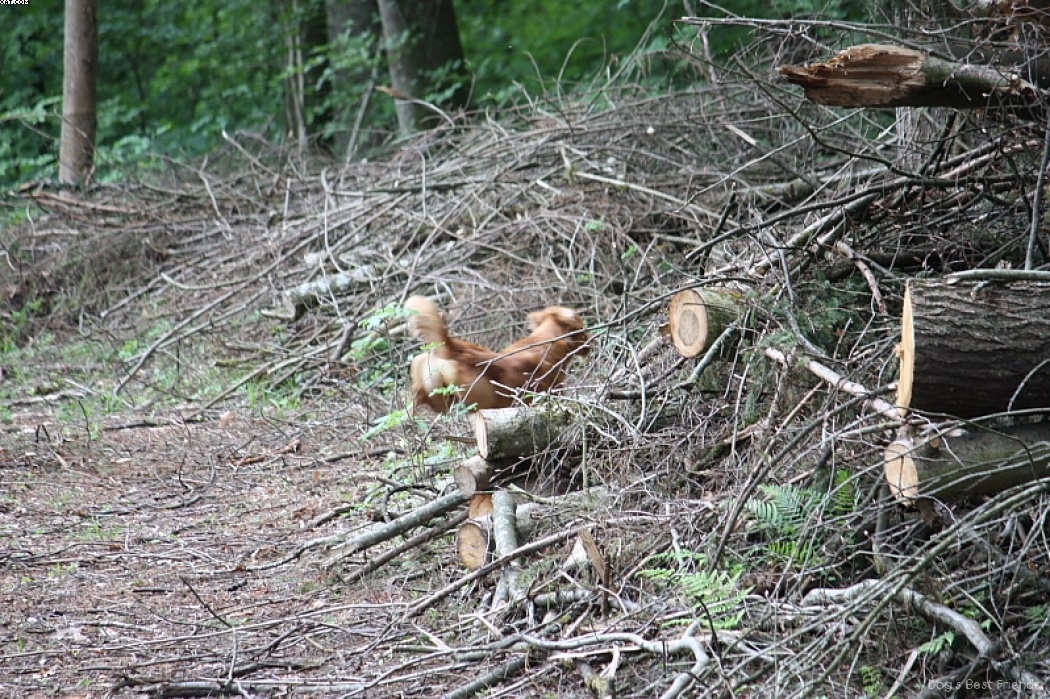 Img 1242908913 109 lg opt