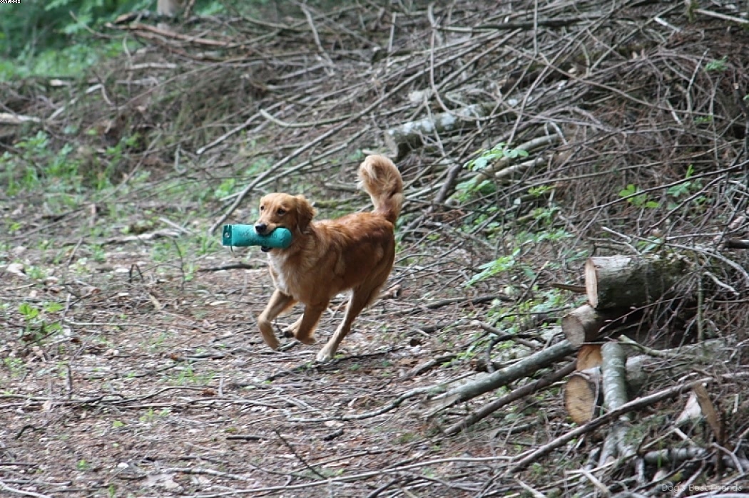 Img 1242908972 834 lg opt