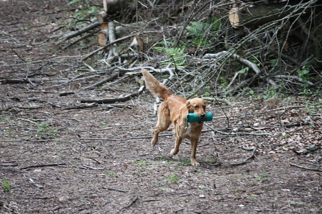 Img 1242909132 818 lg opt